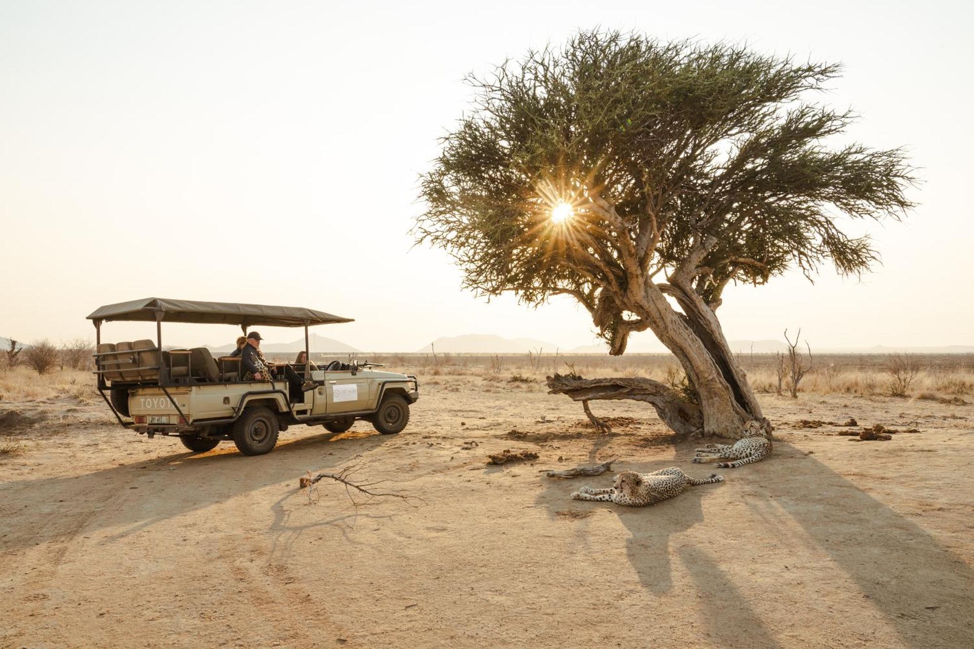 Last Word Madikwe Madikwe Game Reserve Εξωτερικό φωτογραφία