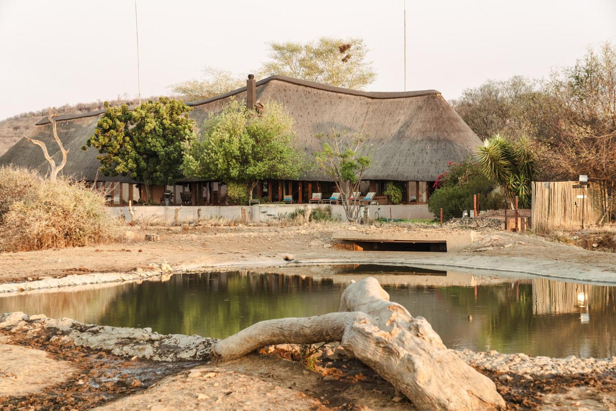 Last Word Madikwe Madikwe Game Reserve Εξωτερικό φωτογραφία