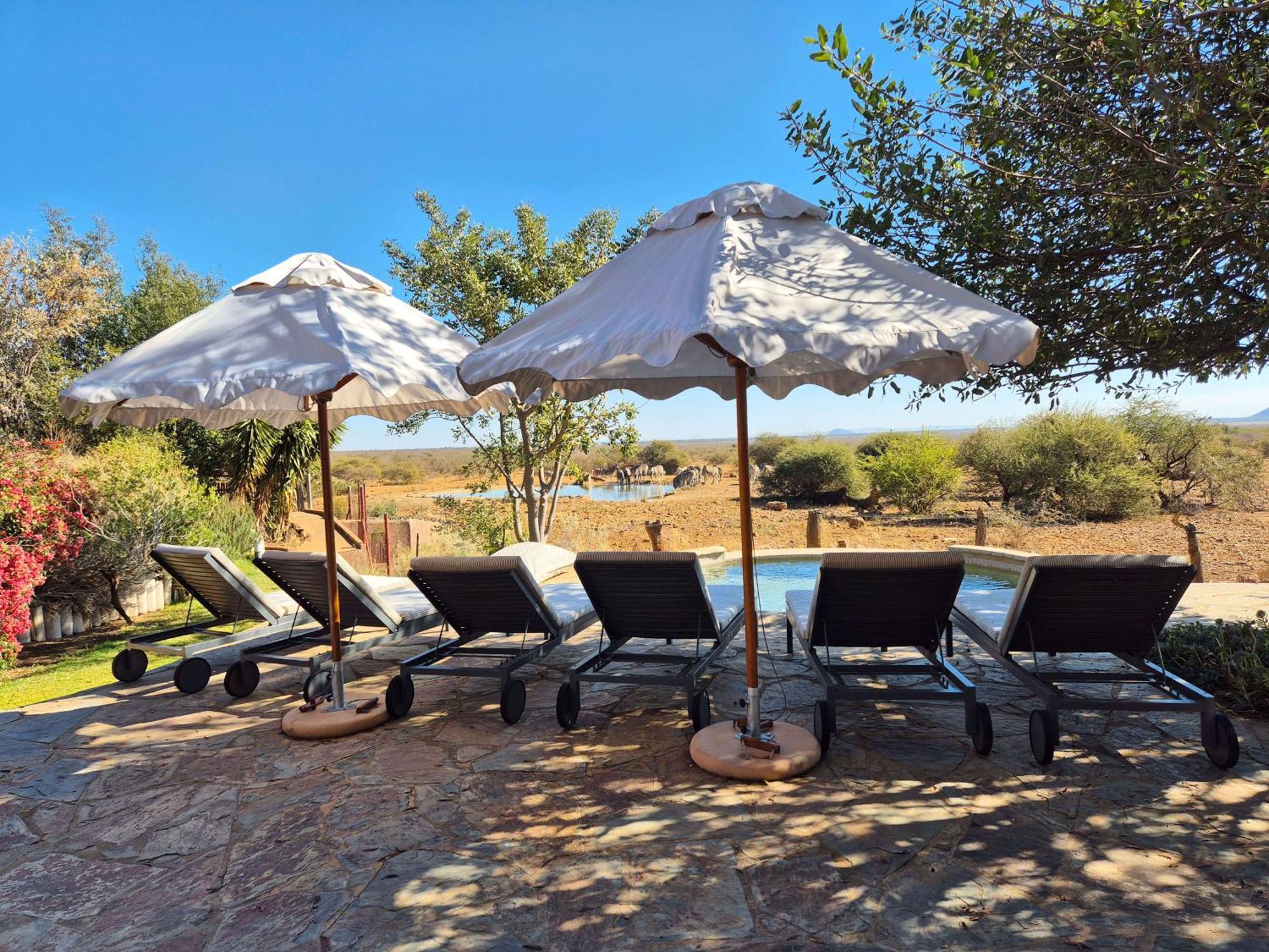 Last Word Madikwe Madikwe Game Reserve Εξωτερικό φωτογραφία